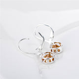 S925 Sterling Silver Women's Accessories Pave Zirconia Earrings For Women