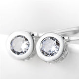 Precious and exquisite zircon earrings wholesale sterling silver earrings