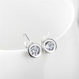 Precious and exquisite zircon earrings wholesale sterling silver earrings